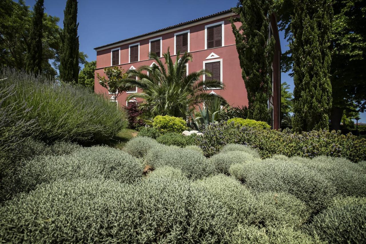 Hotel Villa Donat سفيتي فيليب ياكوف المظهر الخارجي الصورة